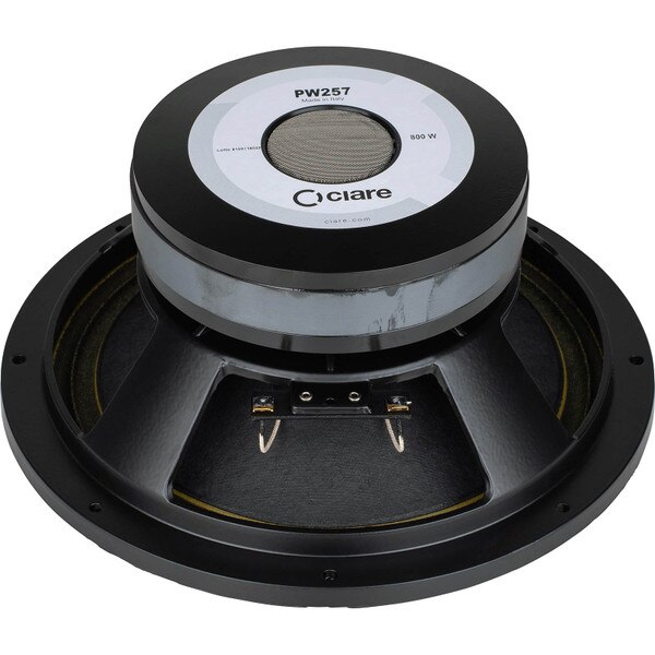 Main product image for Ciare PW257 10" High Power Woofer 293-146